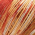 Katia - 4 ply - Ilta Socks